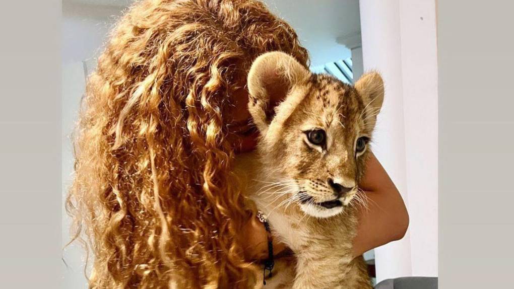 Abogada e influencer, así es Yessi Pérez, la dueña de la leona que causó terror en Veracruz