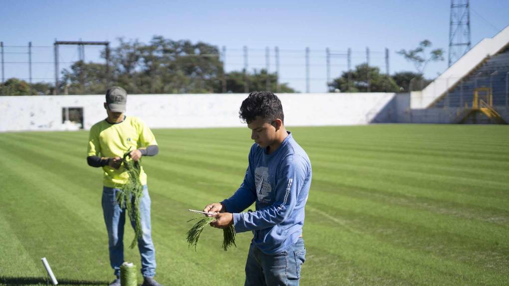 ¡Una lindura! Así quedó la grama híbrida en el estadio Morazán