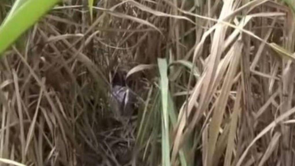 Fatal accidente, asalto a banco y extraños hechos en moteles: resumen semanal de sucesos