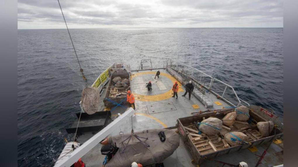 La razón por la que Greenpeace lanza enormes piedras al mar