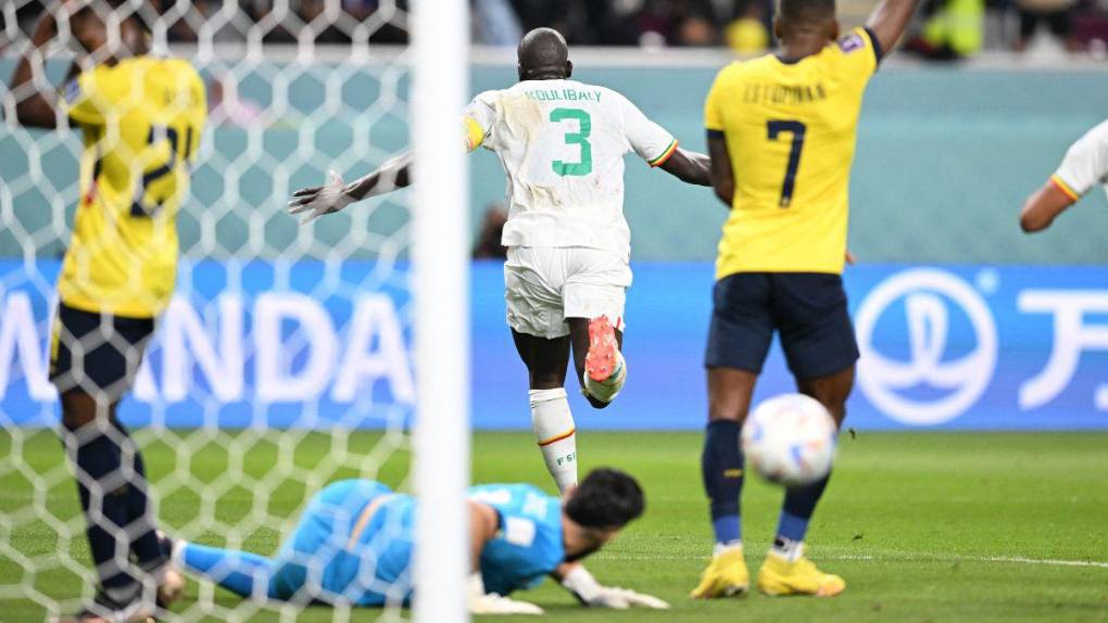 Desconsuelo tricolor y alegría senegalesa: las mejores imágenes del choque entre Senegal y Ecuador
