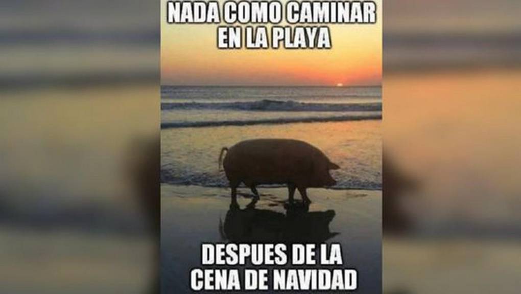 Los memes más divertidos para enviar en Navidad