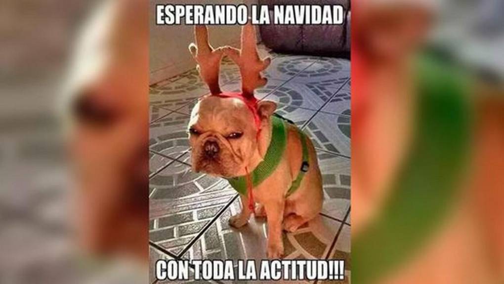 Los memes más divertidos para enviar en Navidad