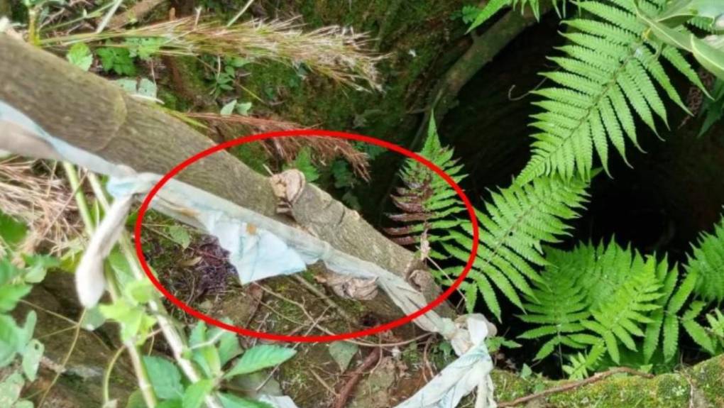 Maniatada y con una blusa en la cabeza, así fue hallada Claudia Benítez