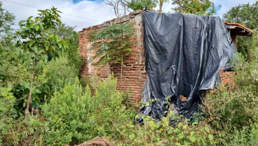 Maniatada y con una blusa en la cabeza, así fue hallada Claudia Benítez