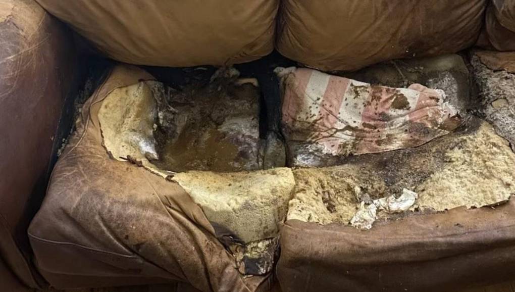 La despiadada muerte de Lacey Fletcher, la joven que estuvo 12 años tirada en un sofá