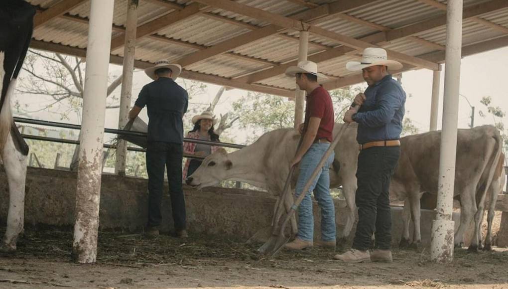 Al estilo “Pasión de gavilanes”, UNAH promociona la carrera de Ingeniería Agronómica
