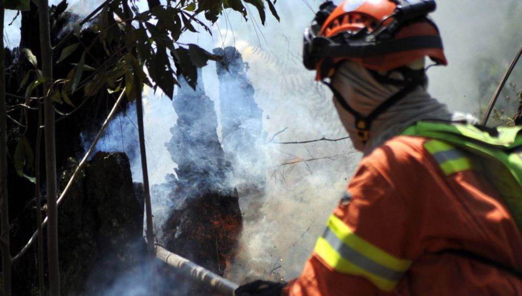 Desolación y aire contaminado en la capital dejan incendios forestales en La Tigra
