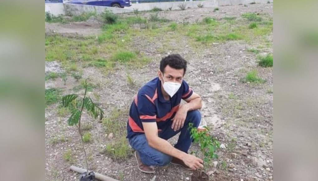 ¡300 árboles, un solo hombre!: Javier Rivera, el hondureño que inicia reforestación en la capital