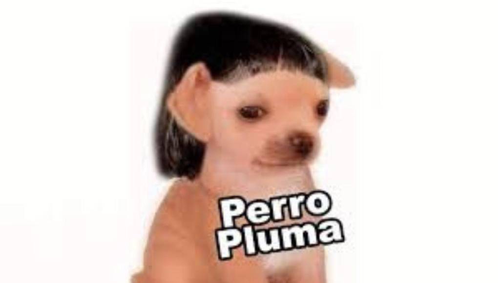 Los mejores memes de lo que pasó entre Nicki Nicole y Peso Pluma