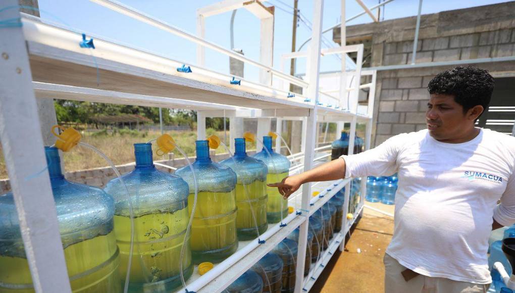 Con lagunas deterioradas y miedo a invertir: la realidad de los productores del camarón