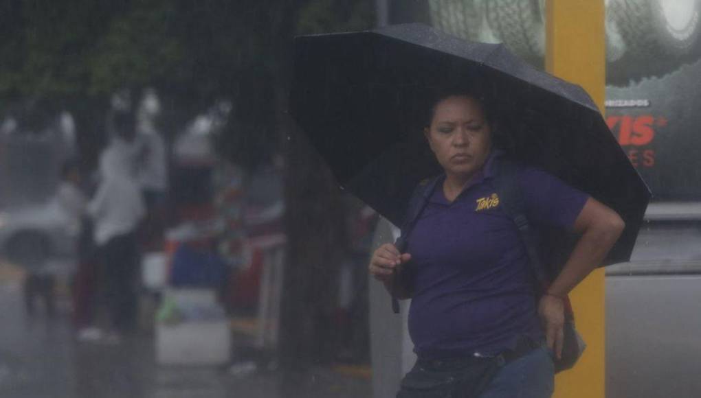 Imágenes: fuerte lluvia aplaca el calor en la capital este domingo