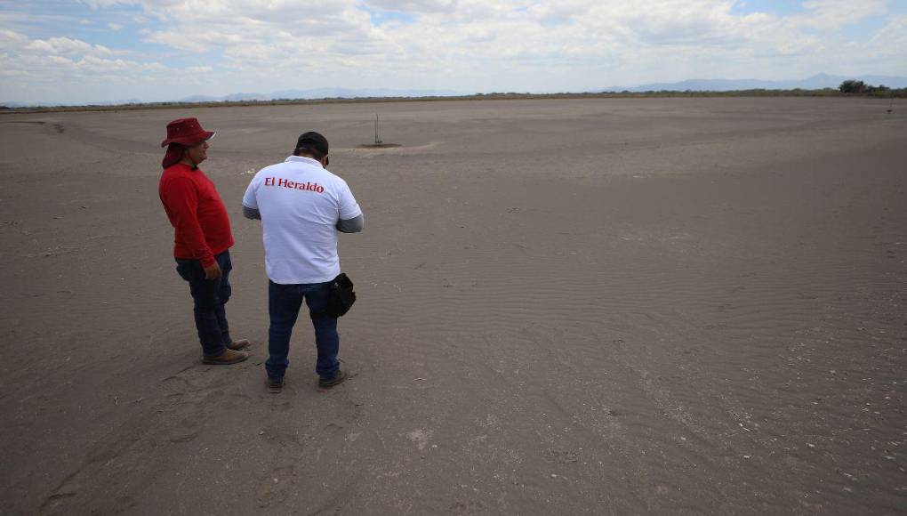 Alarmante cierre de fincas de camarón en Honduras, ¿cuál es la razón?
