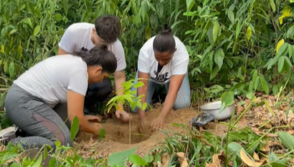 ¡Únete a la causa! Influencer hondureño crea campaña para plantar árboles