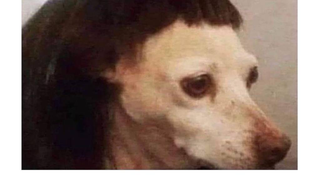 Los mejores memes de lo que pasó entre Nicki Nicole y Peso Pluma