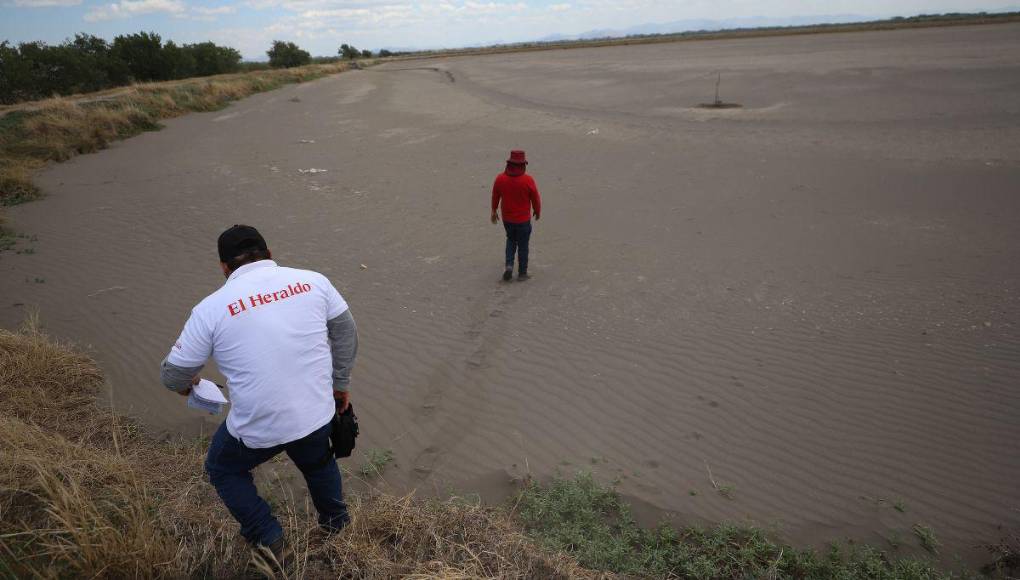 Alarmante cierre de fincas de camarón en Honduras, ¿cuál es la razón?