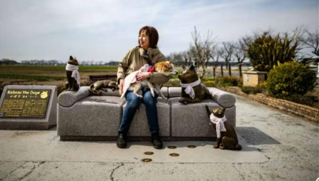 Muere Kabosu, la famosa perra detrás del meme Doge y la criptomoneda Dogecoin