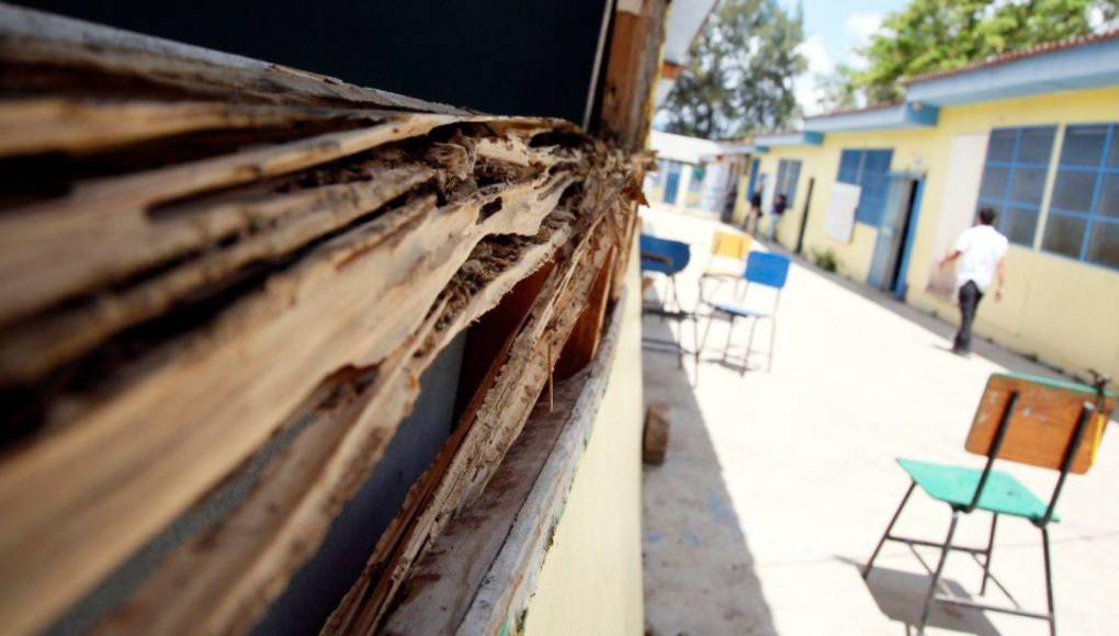 En deplorables condiciones está la escuela que reparará Shin Fujiyama