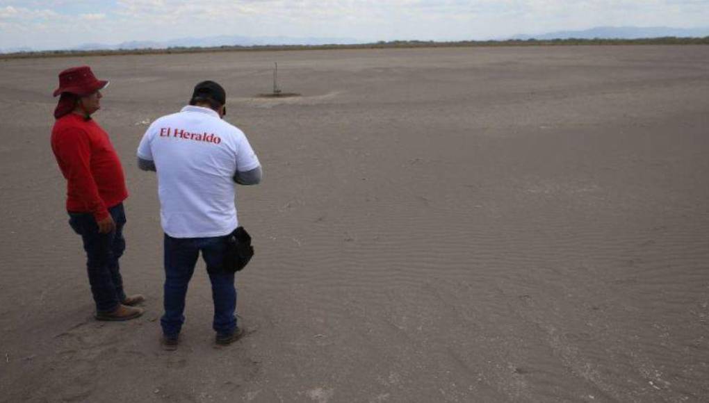 La crisis que sacude a camaroneras hondureñas pese a suspensión de embargo en México