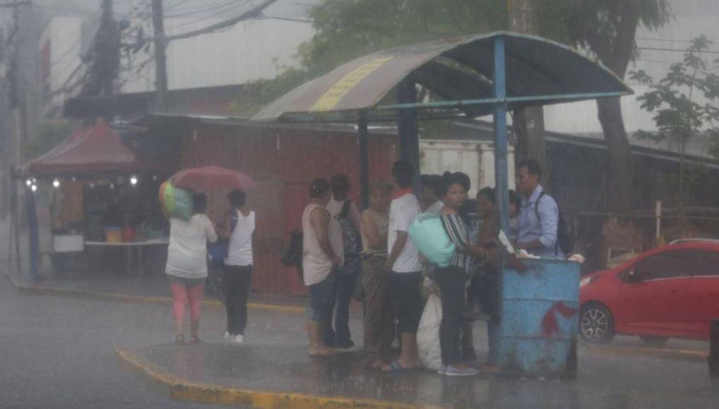 Imágenes: fuerte lluvia aplaca el calor en la capital este domingo