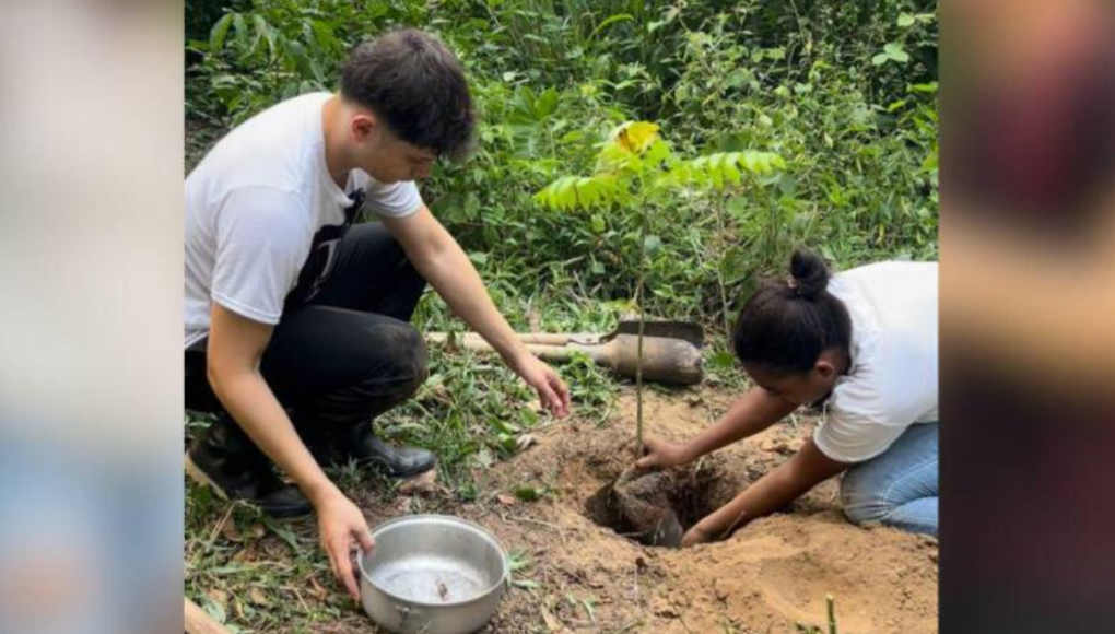 ¡Únete a la causa! Influencer hondureño crea campaña para plantar árboles