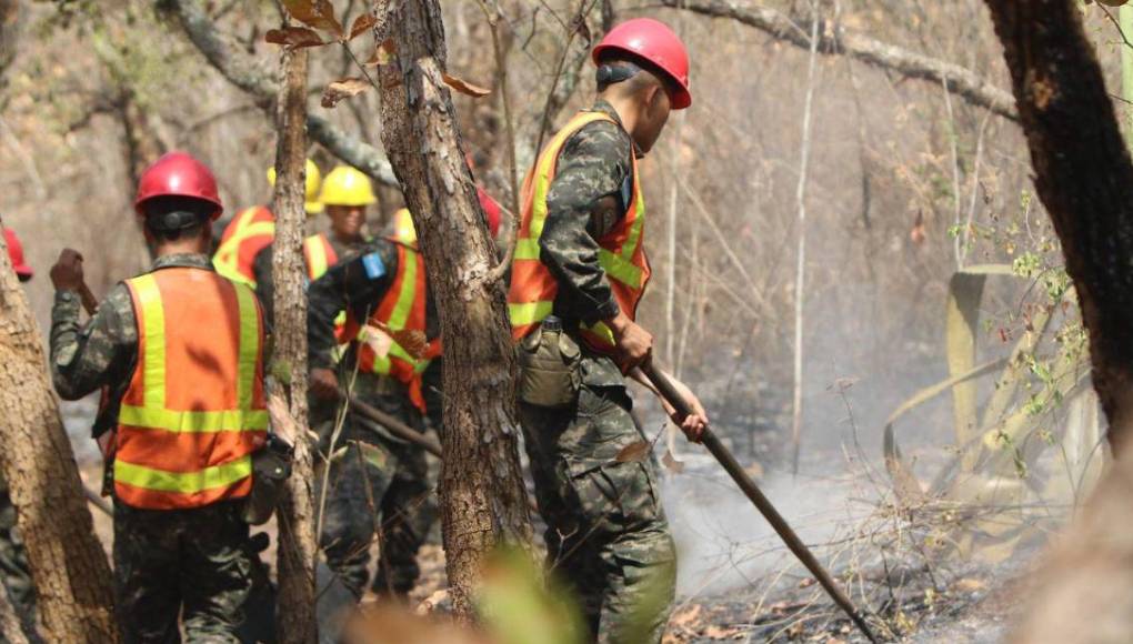Bruma y árboles quemados se apoderan de La Tigra: así es el ambiente desde adentro