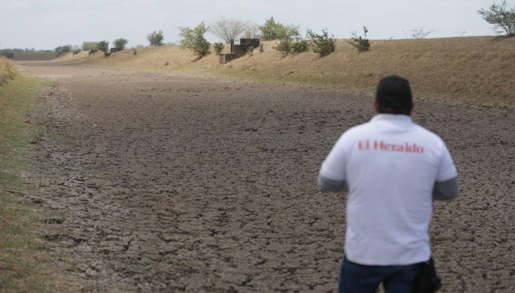 Con lagunas deterioradas y miedo a invertir: la realidad de los productores del camarón