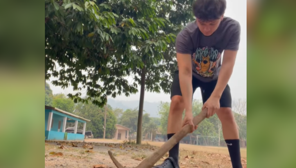 ¡Únete a la causa! Influencer hondureño crea campaña para plantar árboles