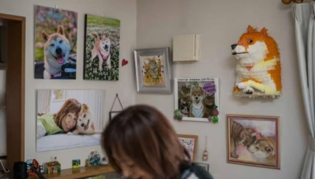 Muere Kabosu, la famosa perra detrás del meme Doge y la criptomoneda Dogecoin