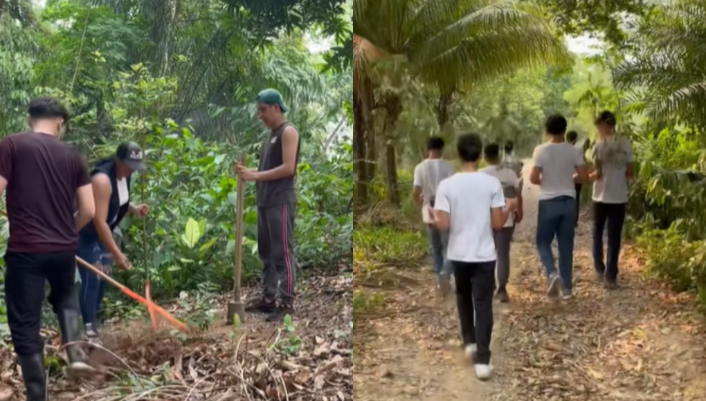 ¡Únete a la causa! Influencer hondureño crea campaña para plantar árboles