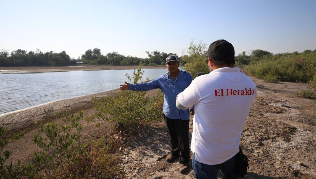 Alarmante cierre de fincas de camarón en Honduras, ¿cuál es la razón?