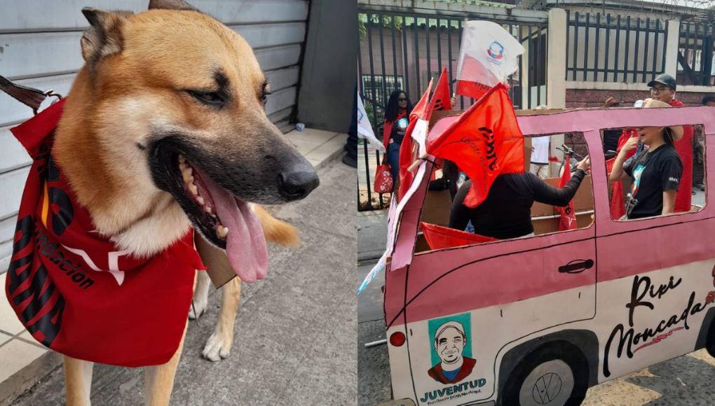 Mascotas, la “Rixineta” y otras curiosidades durante la marcha del 1 de mayo en la capital