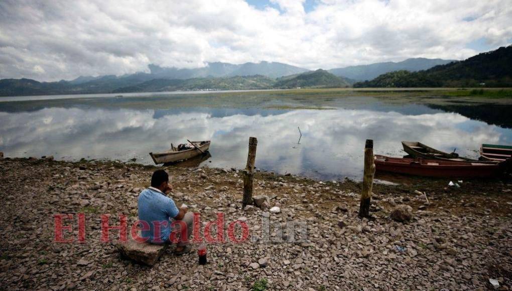 Heces, metales pesados y agroquímicos matan lentamente el Lago de Yojoa (FOTOS)