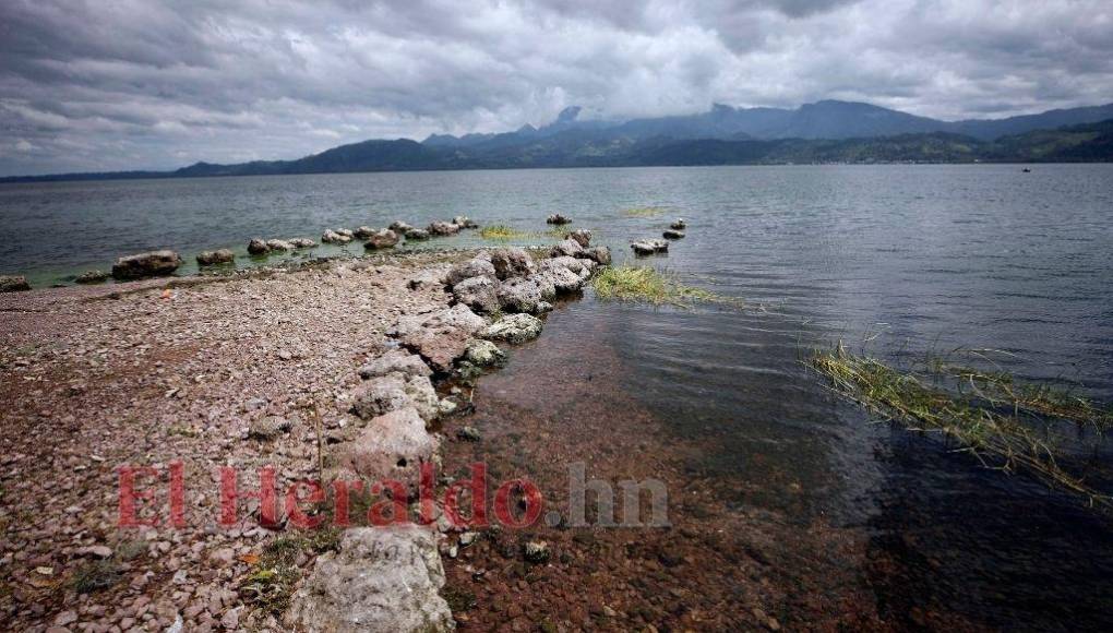 Heces, metales pesados y agroquímicos matan lentamente el Lago de Yojoa (FOTOS)