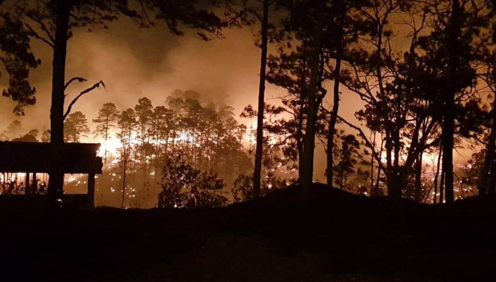 Las impactantes imágenes del incendio forestal que arrasó con todo a su paso en cerro El Trigo