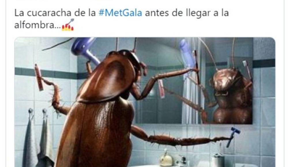 Los imperdibles memes de la cucaracha de la Met Gala 2023