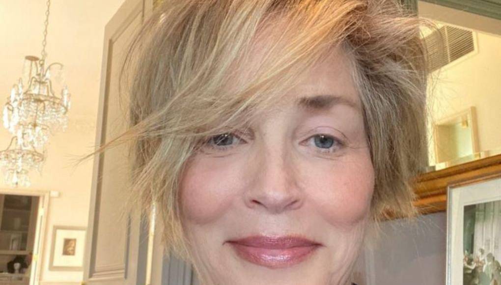 Sharon Stone, la actriz que sufrió nueve abortos antes de adoptar a sus tres hijos