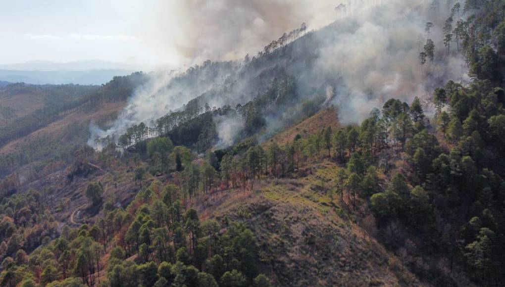 Las impactantes imágenes del incendio forestal que arrasó con todo a su paso en cerro El Trigo