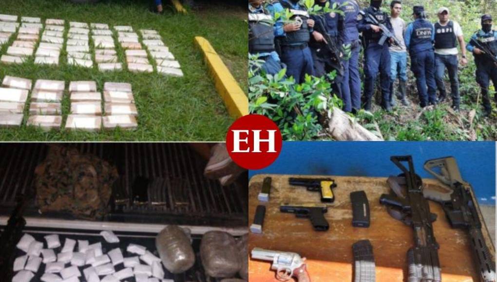 Armas, plantaciones destruidas y droga decomisada: Resultados de operaciones en la conflictiva región de Colón (Fotos)