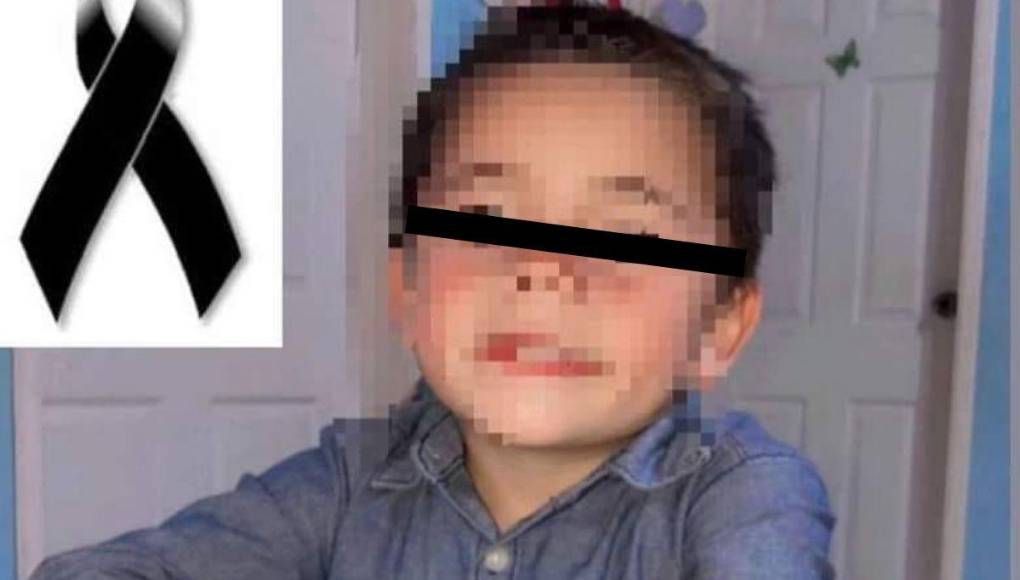 Rabia transmitida por murciélago: lo que se sabe de la muerte de niño hondureño por mordedura de un gato