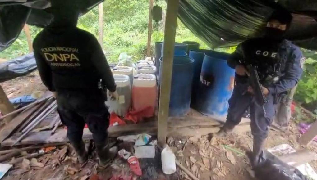 Extensa plantación, dos viveros y un narcolaboratorio asegurados en Colón