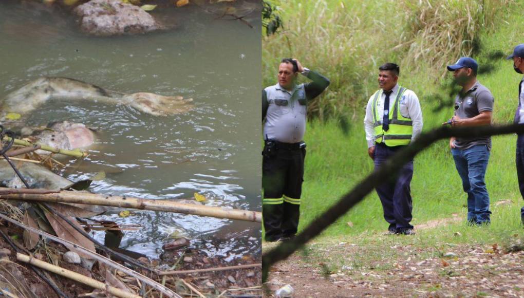 Putrefacto y en una quebrada encuentran cadáver en colonia Villa Olímpica en la capital