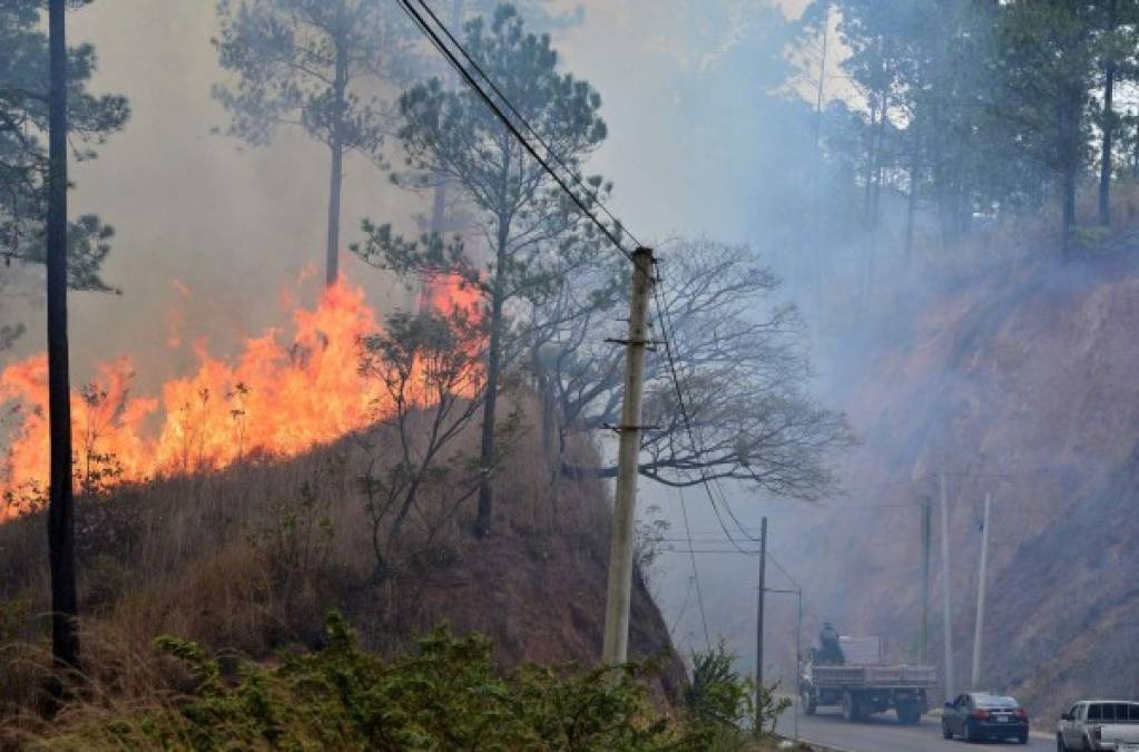 El infierno en la tierra: Los incendios forestales azotan Honduras (Fotos)