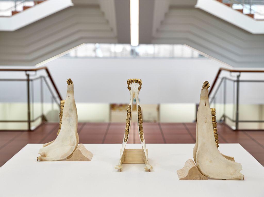 Pavel Aguilar, reflexiones sobre el colonialismo desde Alemania