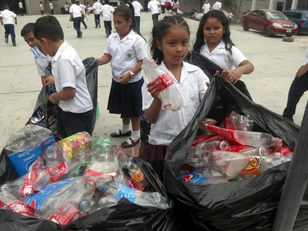 Con sus actividades la Escuela Los Robles germinó como la más Amigable con el Ambiente