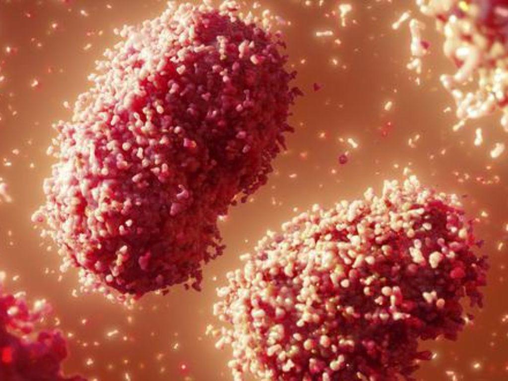 ¿Cuál es el período de incubación de la viruela del mono?