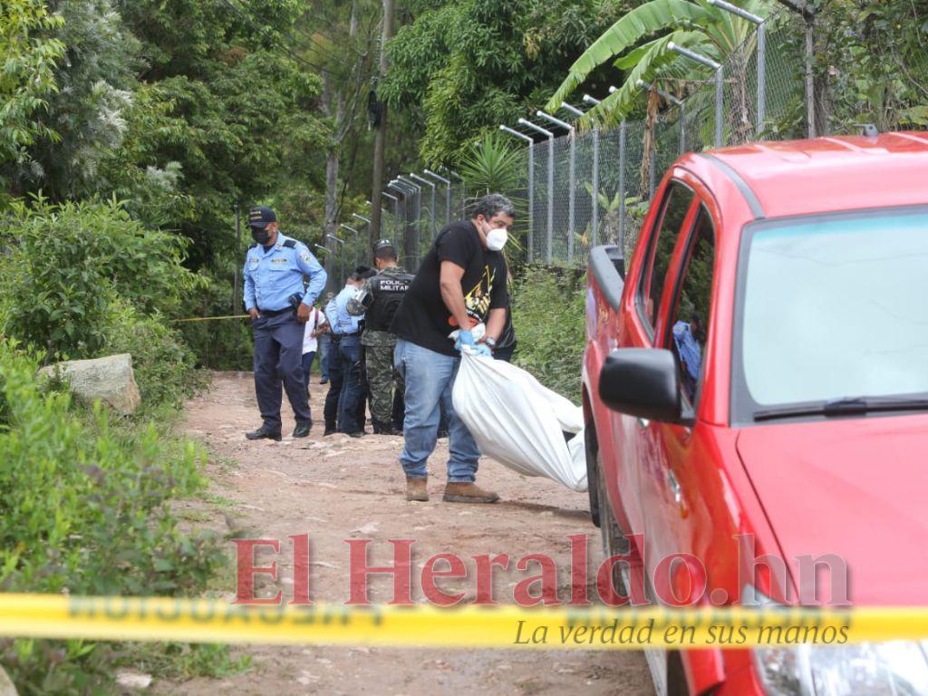 Hombre muere tras ser atacado por una manada de perros en El Sauce, Valle de Ángeles