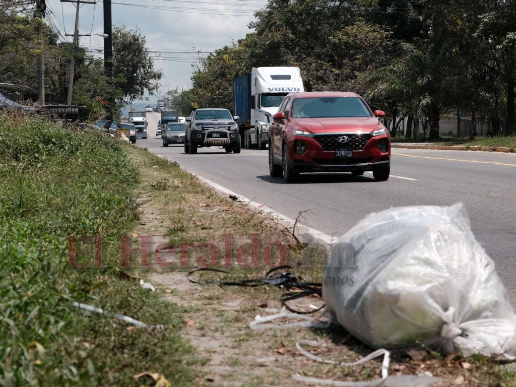 ¿Cuánto puede pagar un vecino que lance basura o un animal muerto en lugares no autorizados?