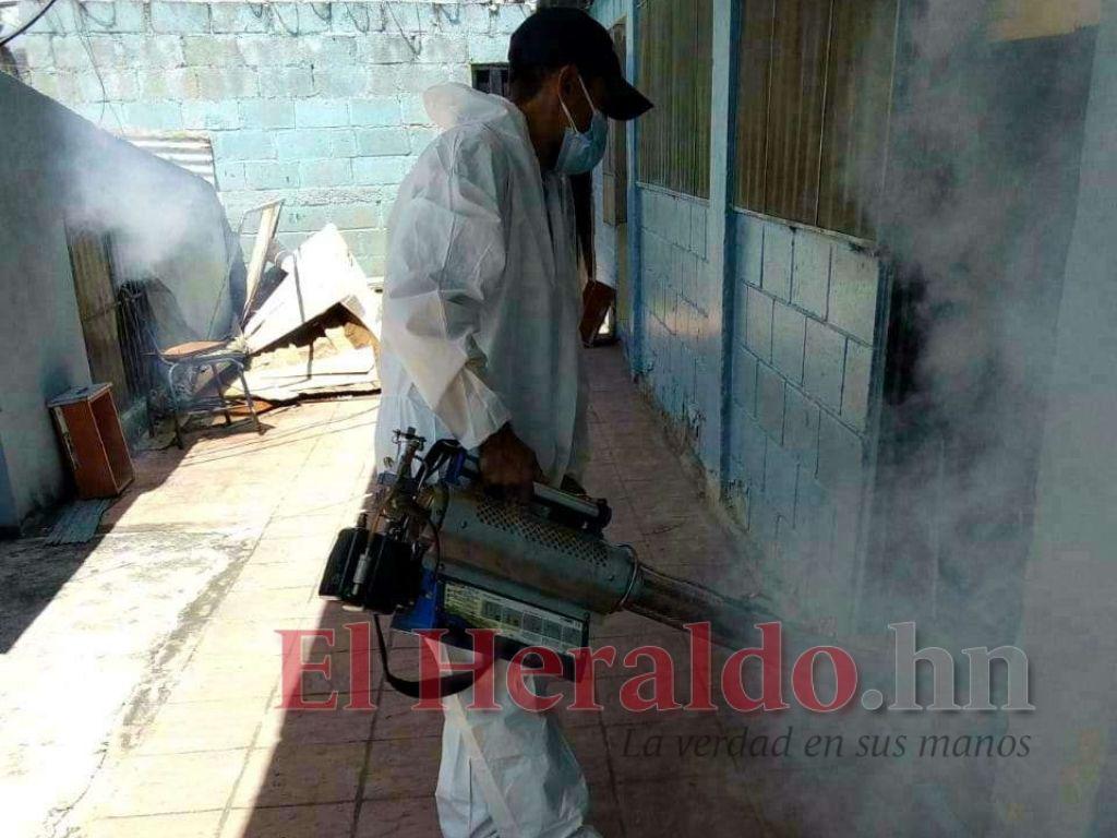 Más de 1,300 casos de dengue en el primer trimestre de 2022