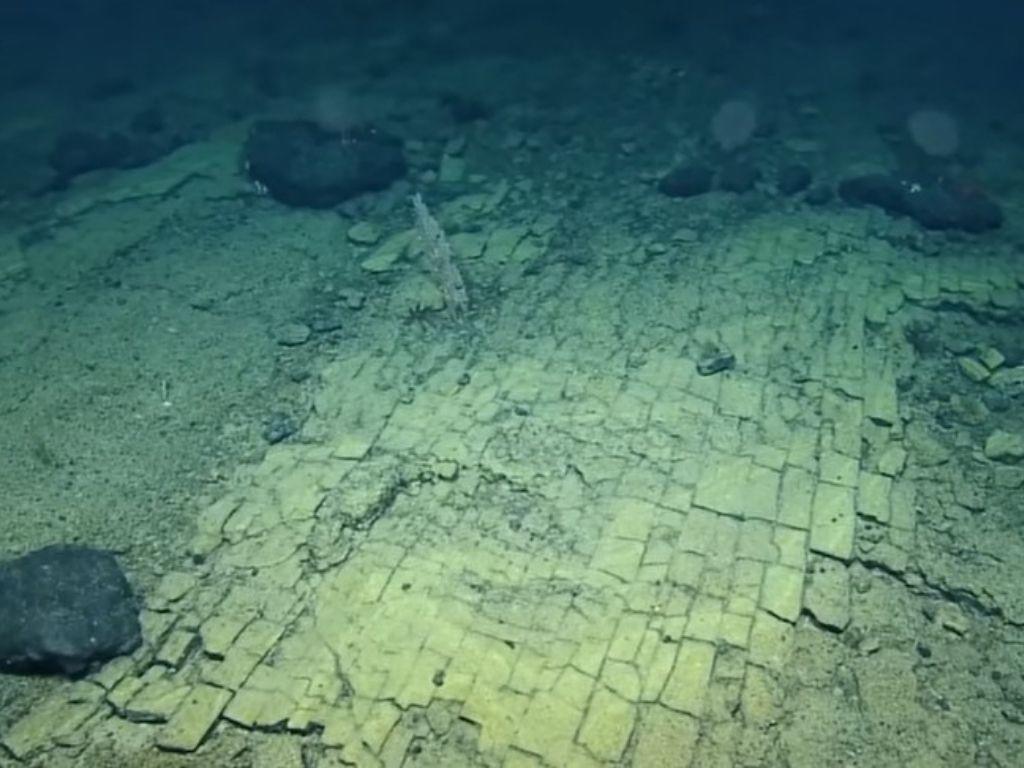Hallan camino de baldosas amarillas en el fondo del Océano Pacífico